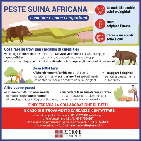 Peste Suina Africana: Istruzioni rinvenimento carcassa animale deceduto